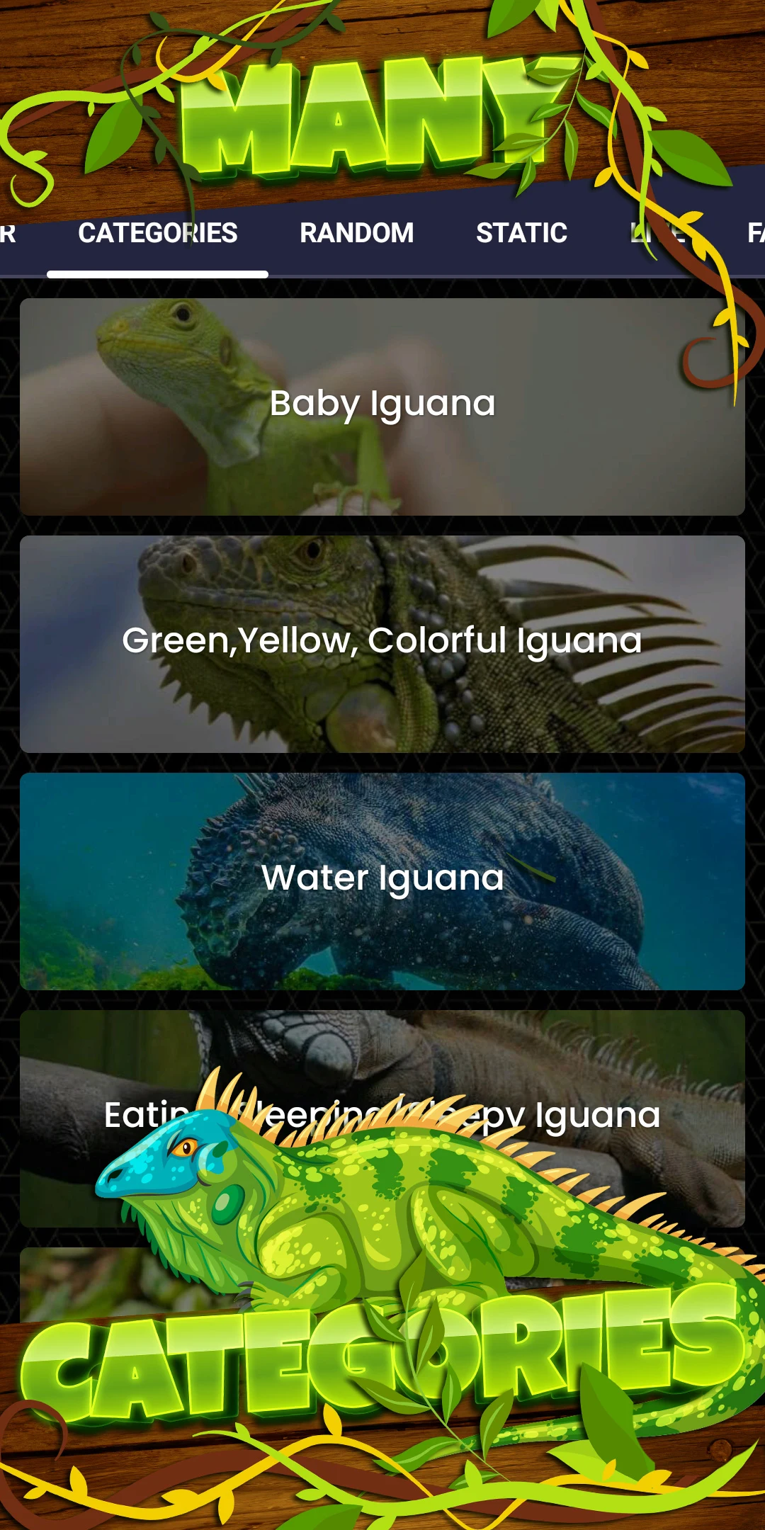Iguana Wallpaper HD screenshot
