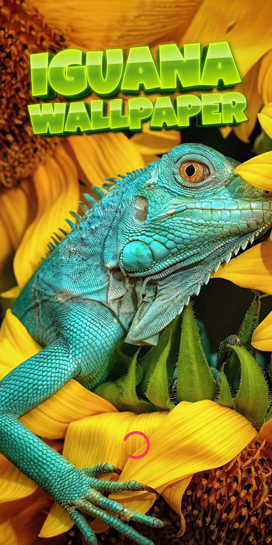 Iguana Wallpaper HD screenshot