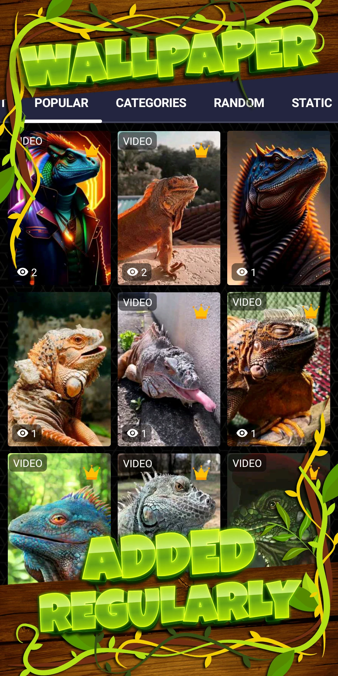 Iguana Wallpaper HD screenshot