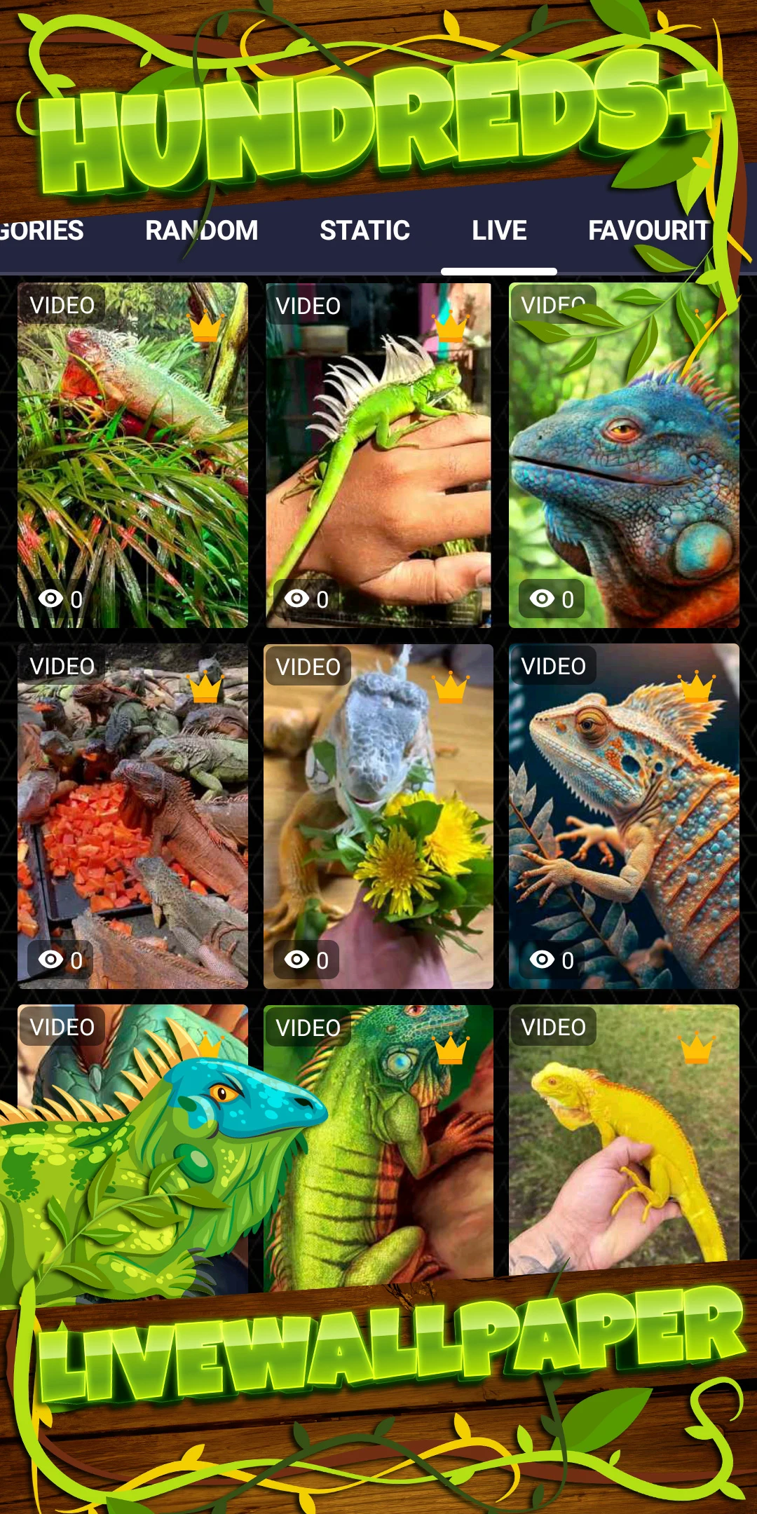 Iguana Wallpaper HD screenshot