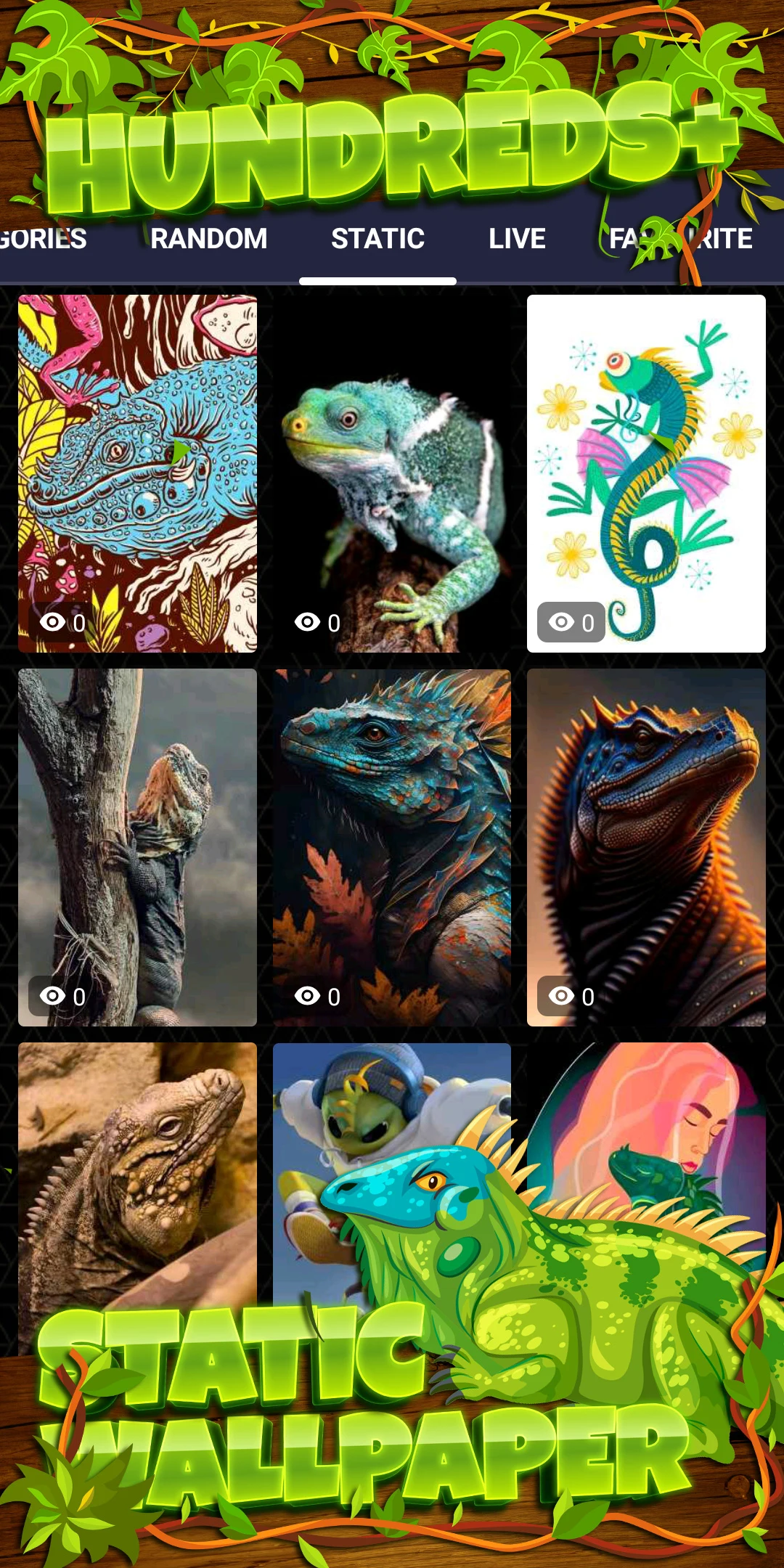 Iguana Wallpaper HD screenshot